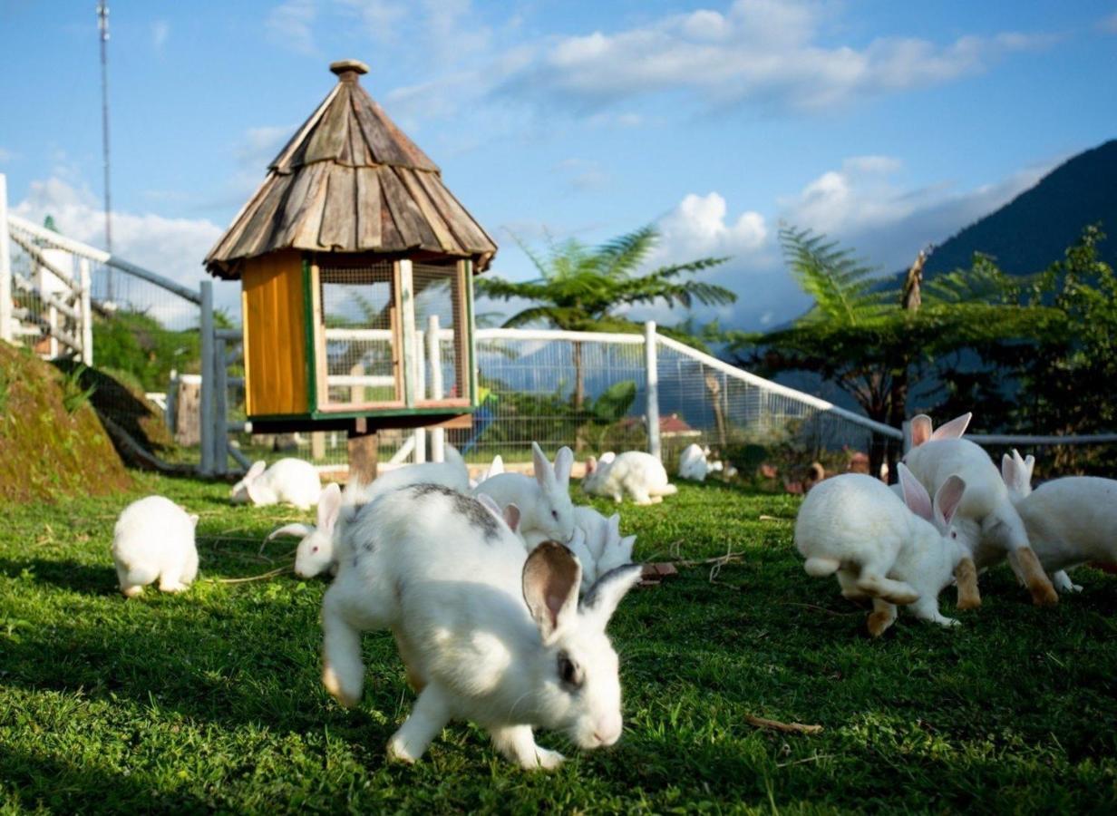 O Chau Homestay Лао Кай Екстериор снимка