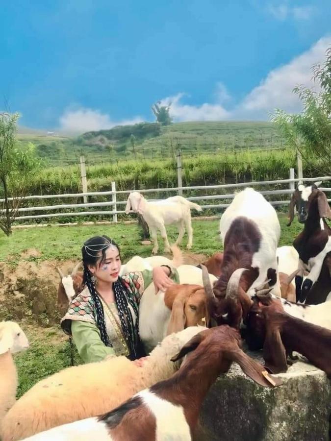 O Chau Homestay Лао Кай Екстериор снимка